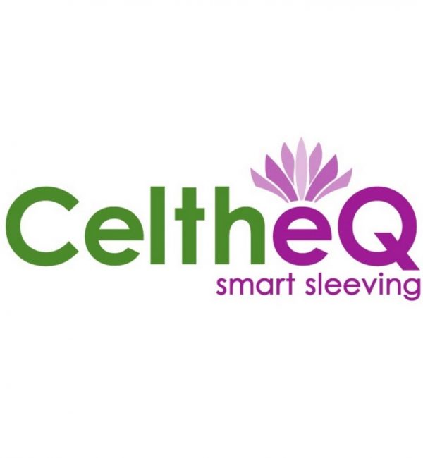 logo celtheq