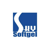 logo_skysoftangel