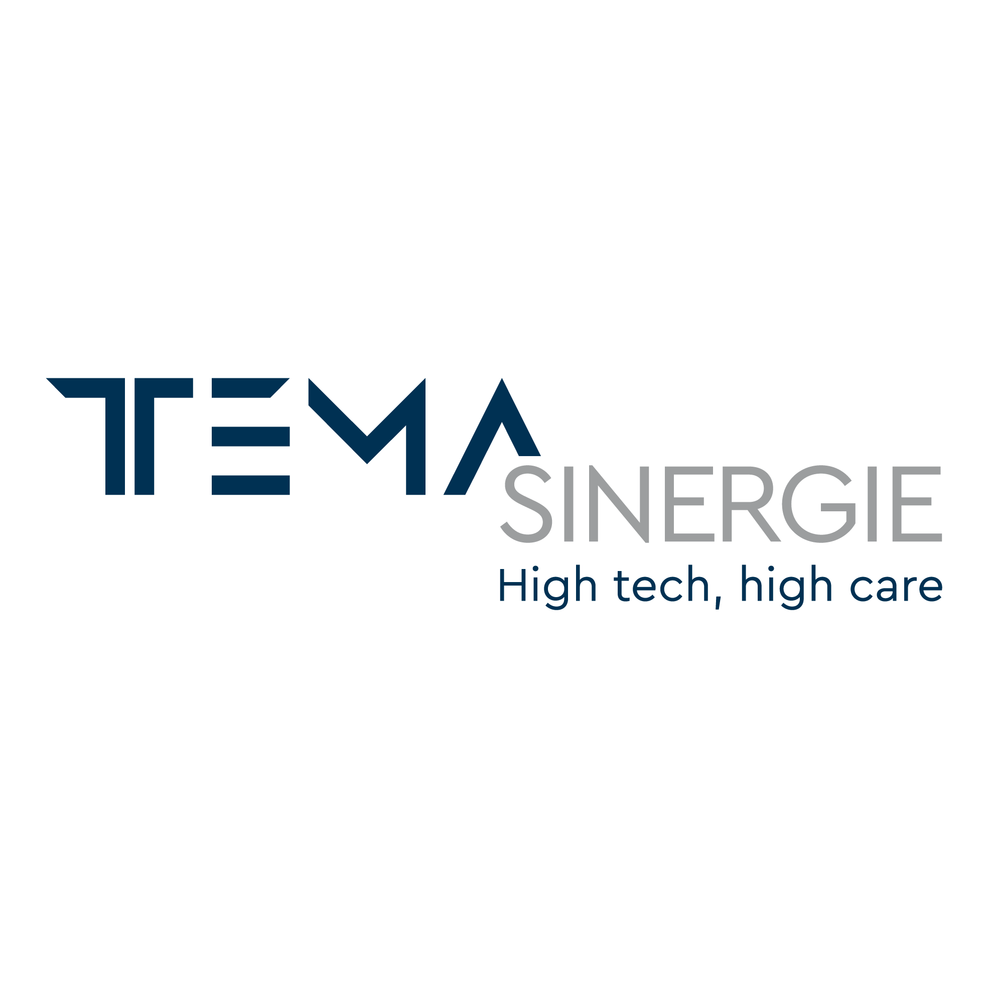 tema sinergie logo